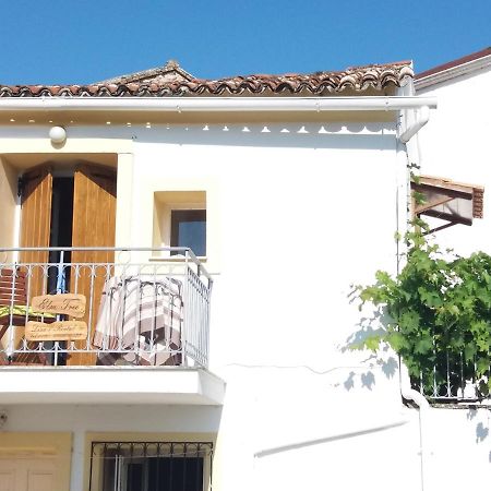 Elm Tree Dream Catcher Strinilas Exterior foto